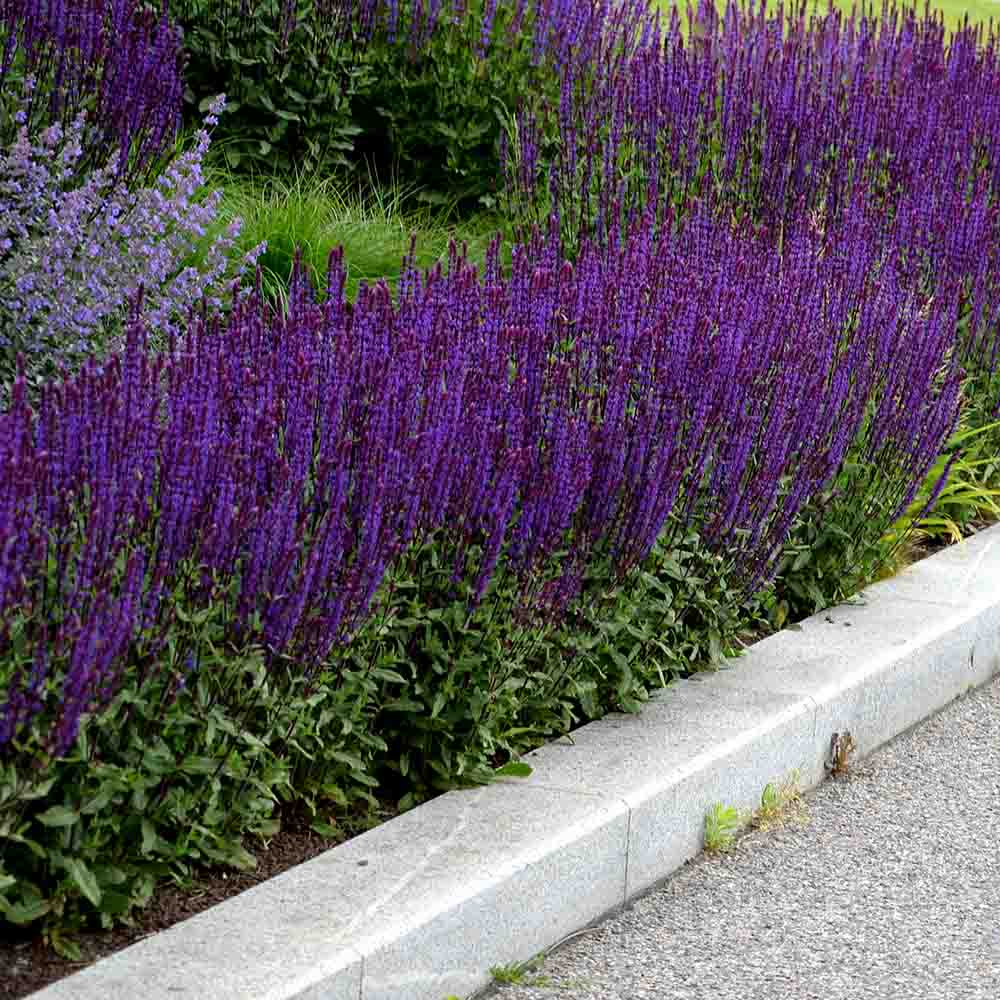 bddae038010092ce7dd64f851e4b6322