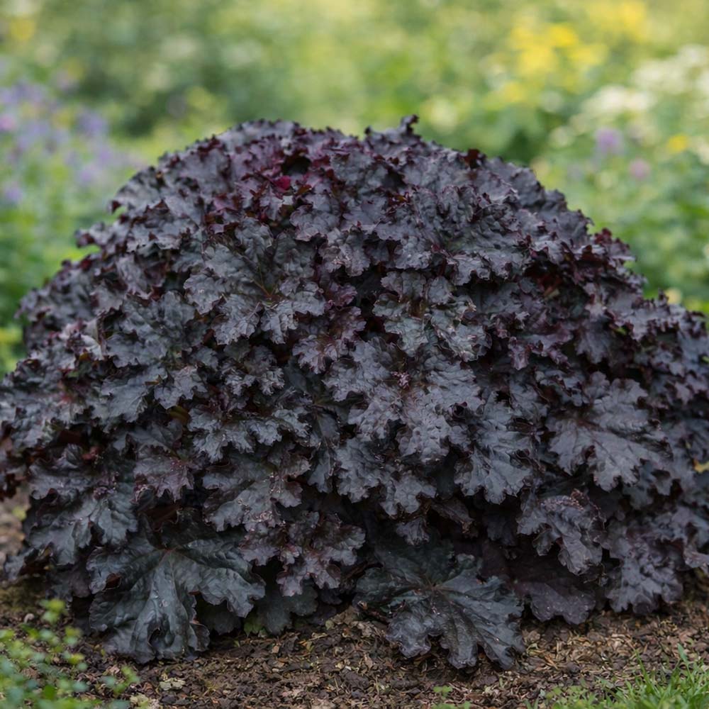 578ee05fa4e327745ab84dcc8253b616