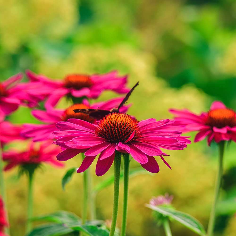 e360f5f8db36e29b925ecec98d2d829e