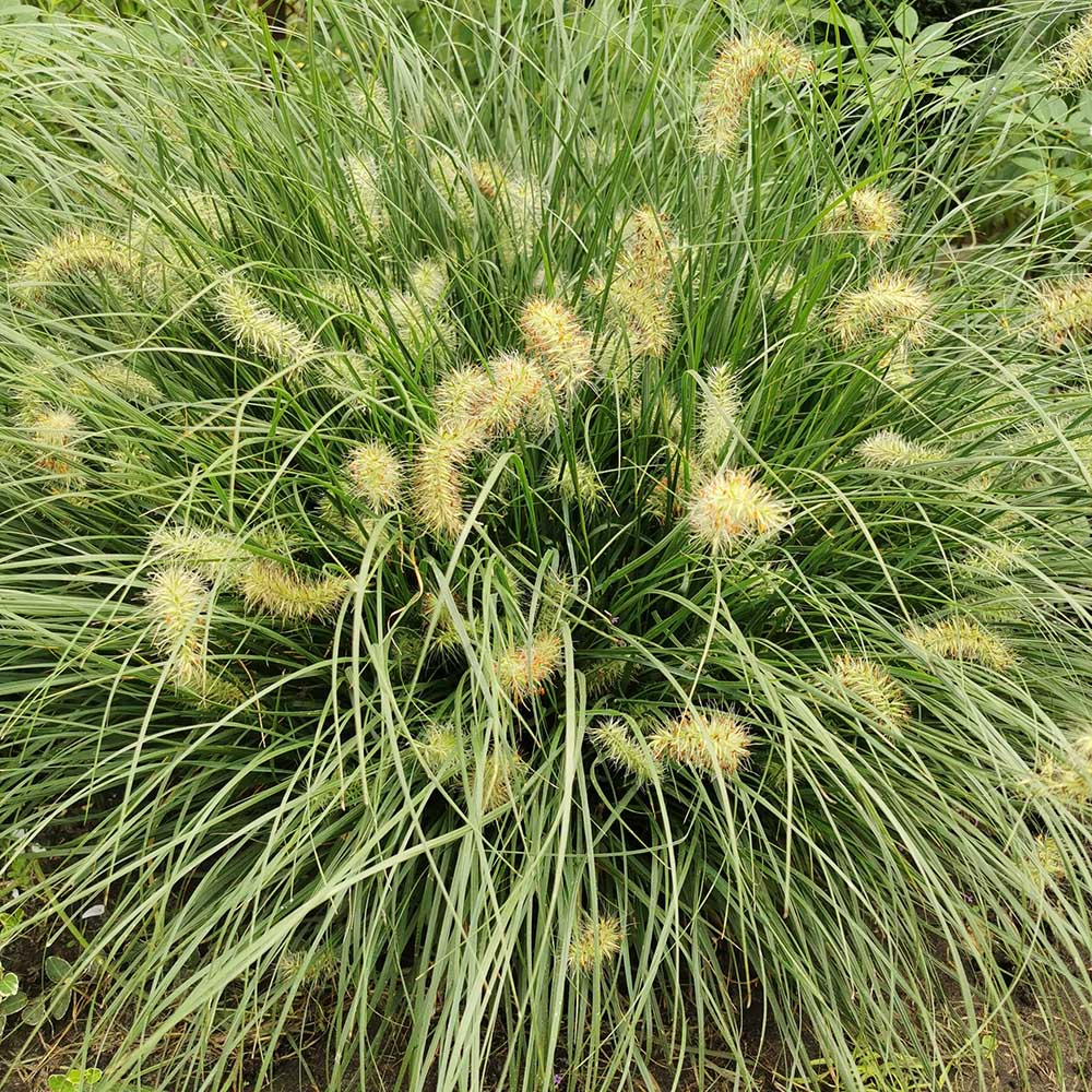 9605b49dfd19d061d719eb7f631121da