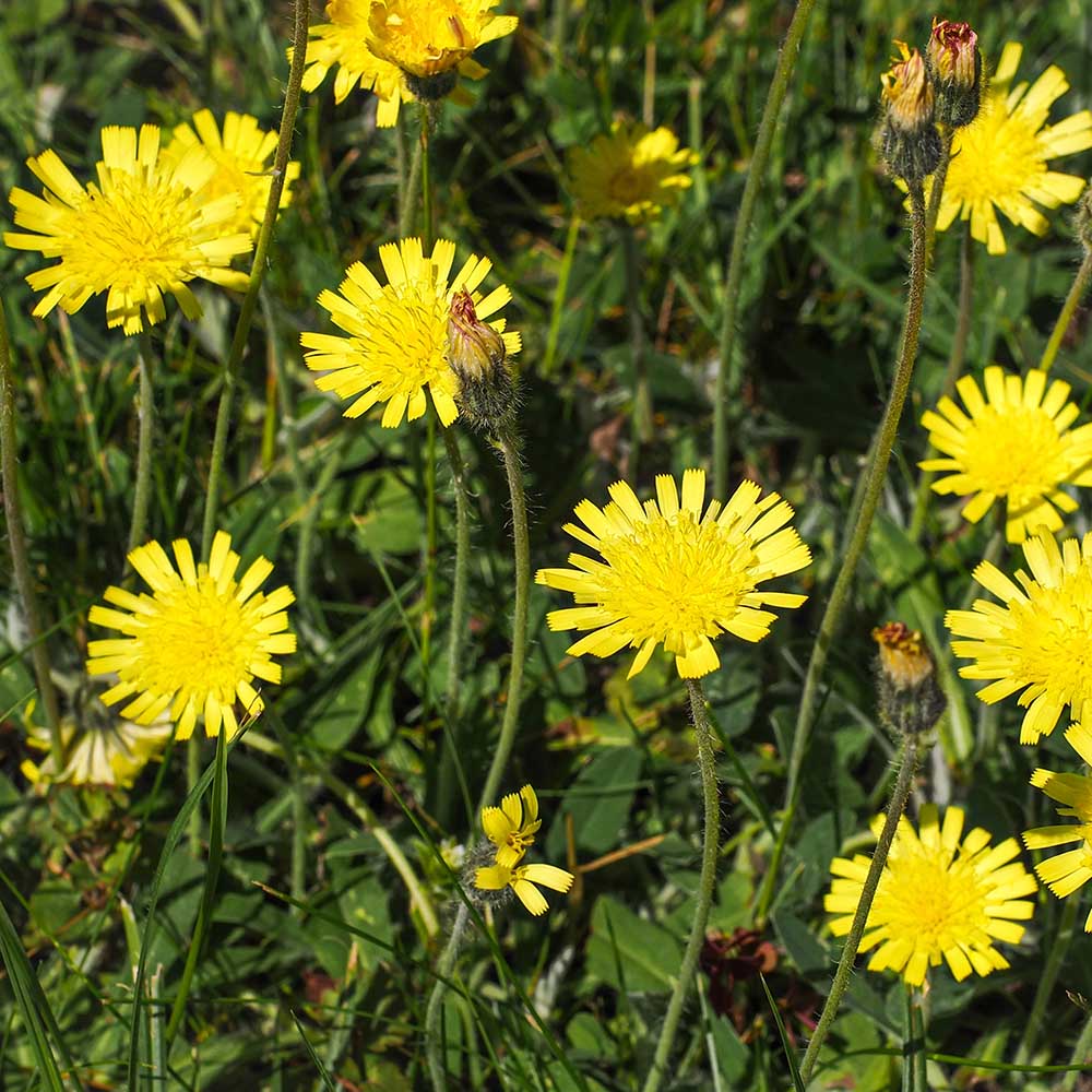 83e8f535f7936f38d559079fc08f01ce