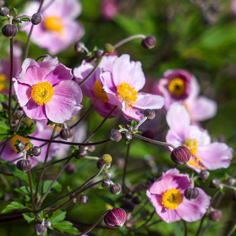 4bff2f1dbe51344800362aa551d9666b