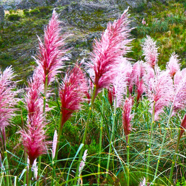 52d65c4be5d8d14ec15a4adbf347504d