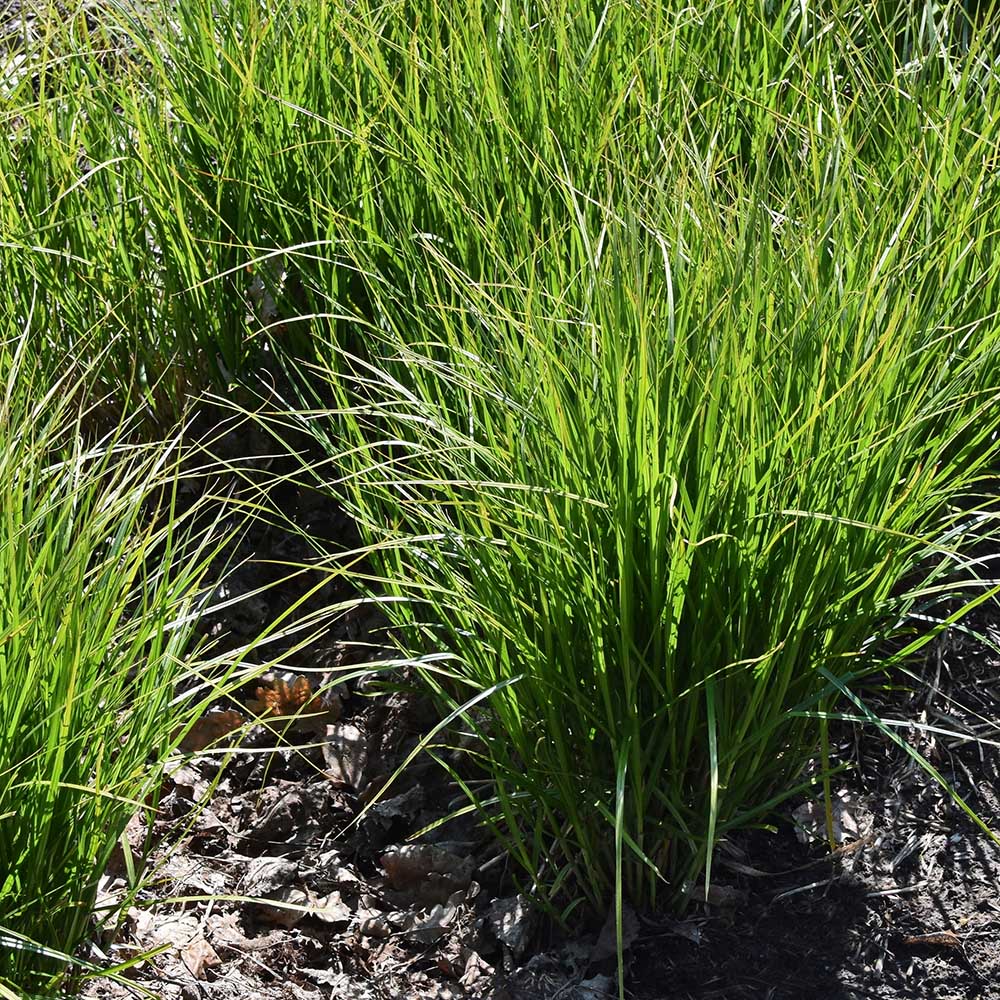 9bbce8d51231ec3332591b020c8e5b2e