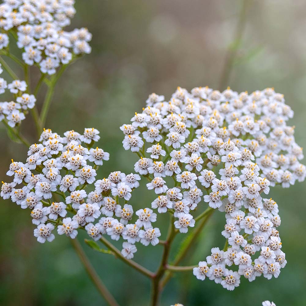 d0fea26c1d9c43d6ae752f9e05c94495