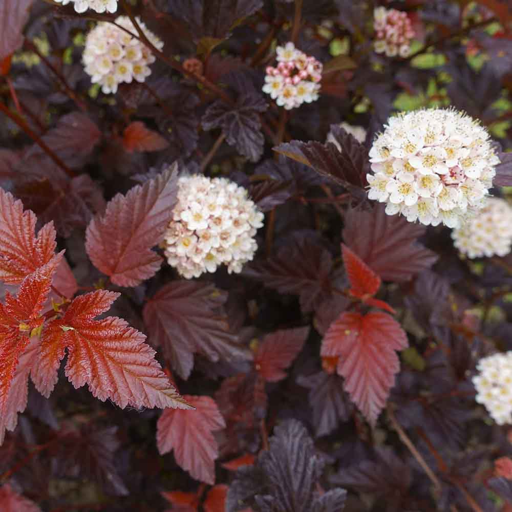 0c67fea9464b0e00fc9ece224df89ed4