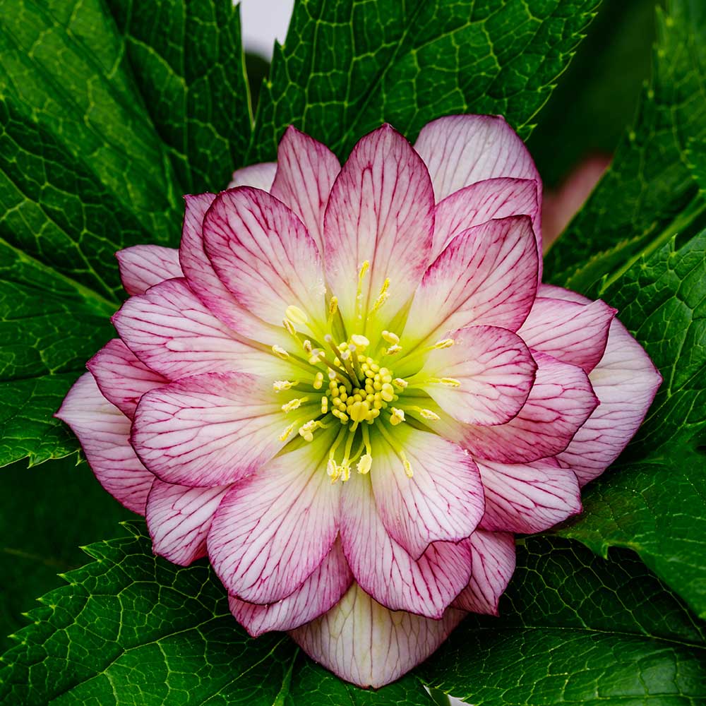 14fd00c204f054e3277662ee3cc49fd4