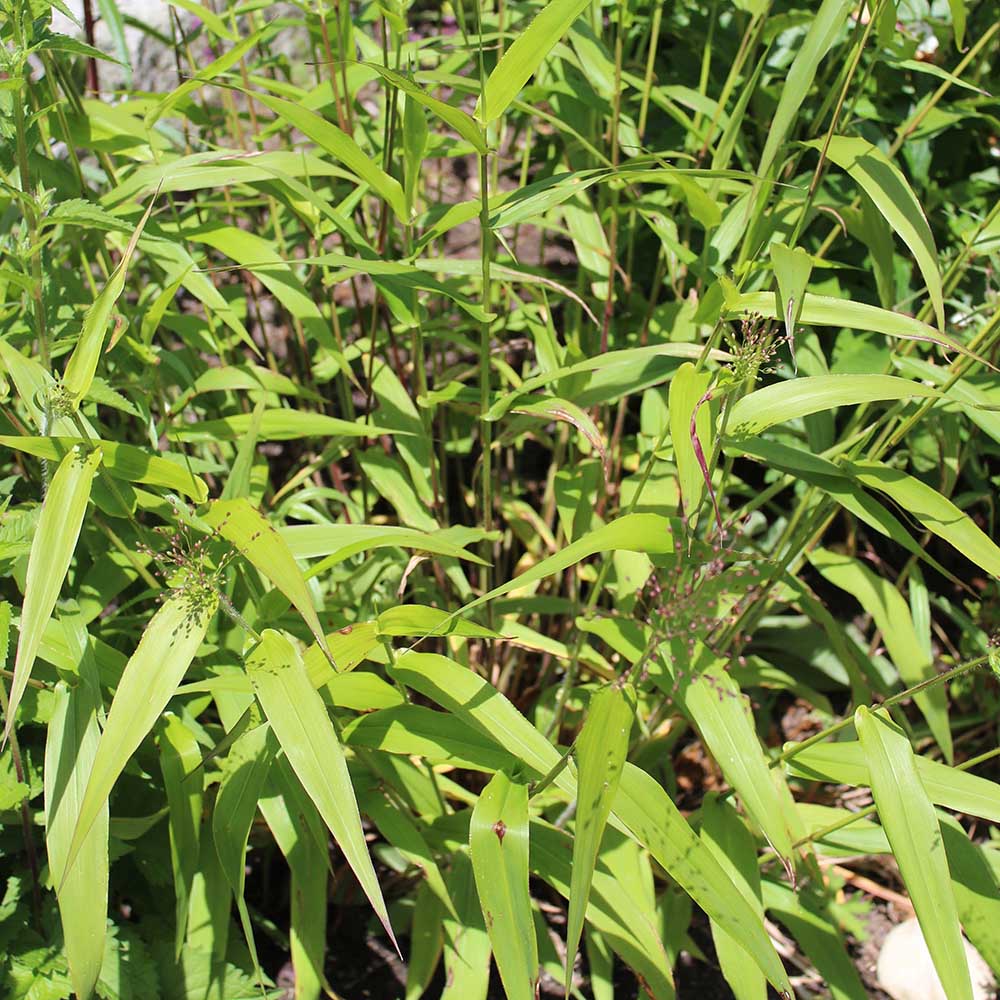 d8510cb56ee8ec4849f82c8c3b20a93f