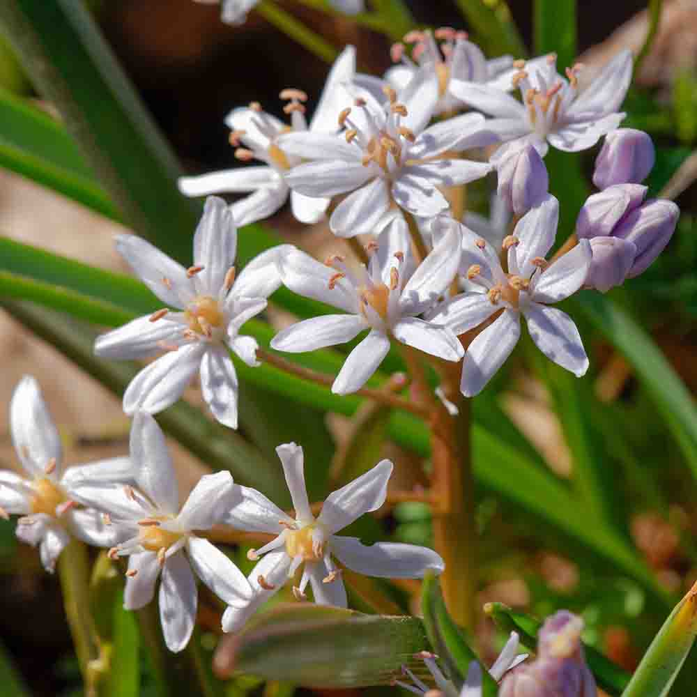 2bf9b8f15d19d7d5cc4c39238c840399