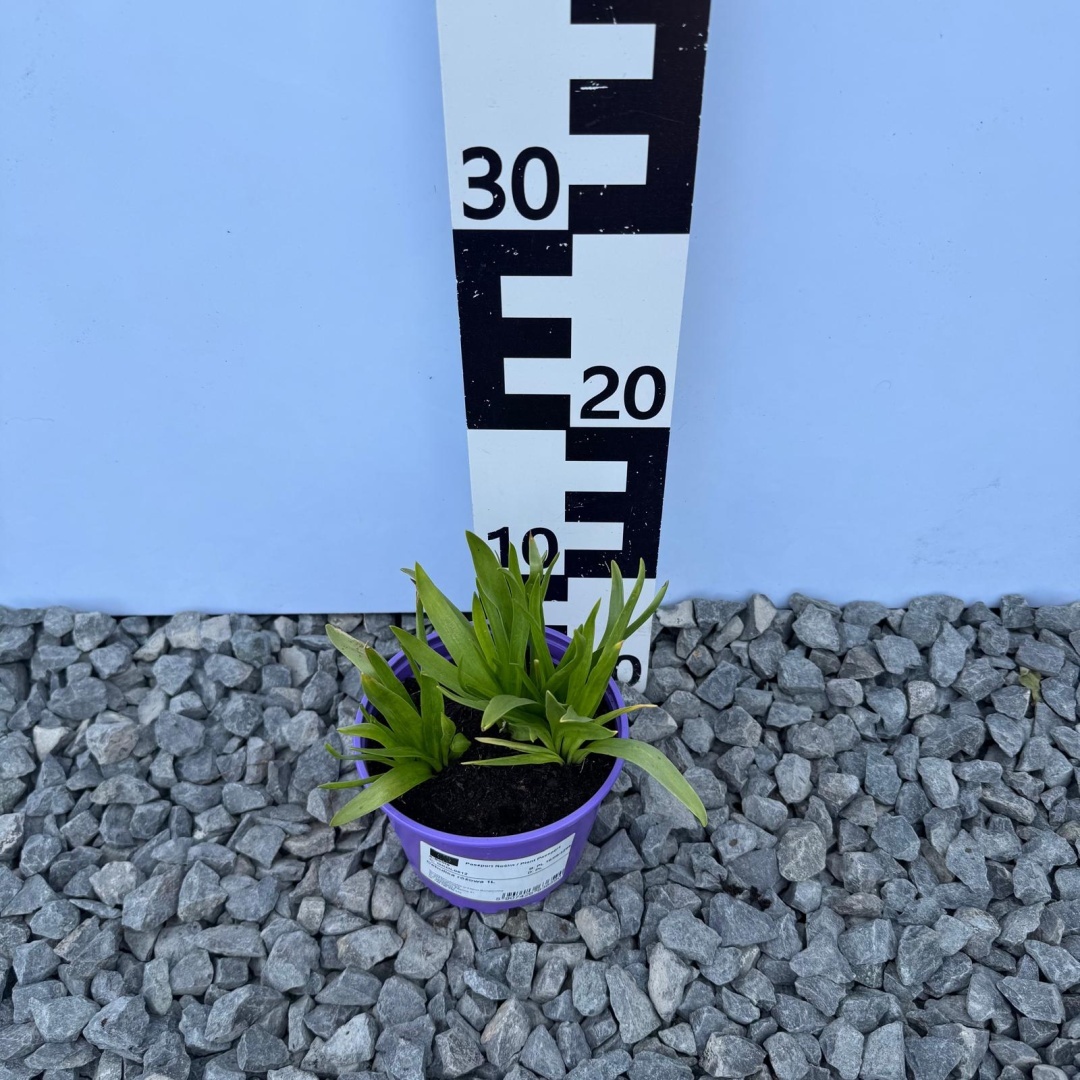 ec3970832b54c439992a1c44ac664fd5