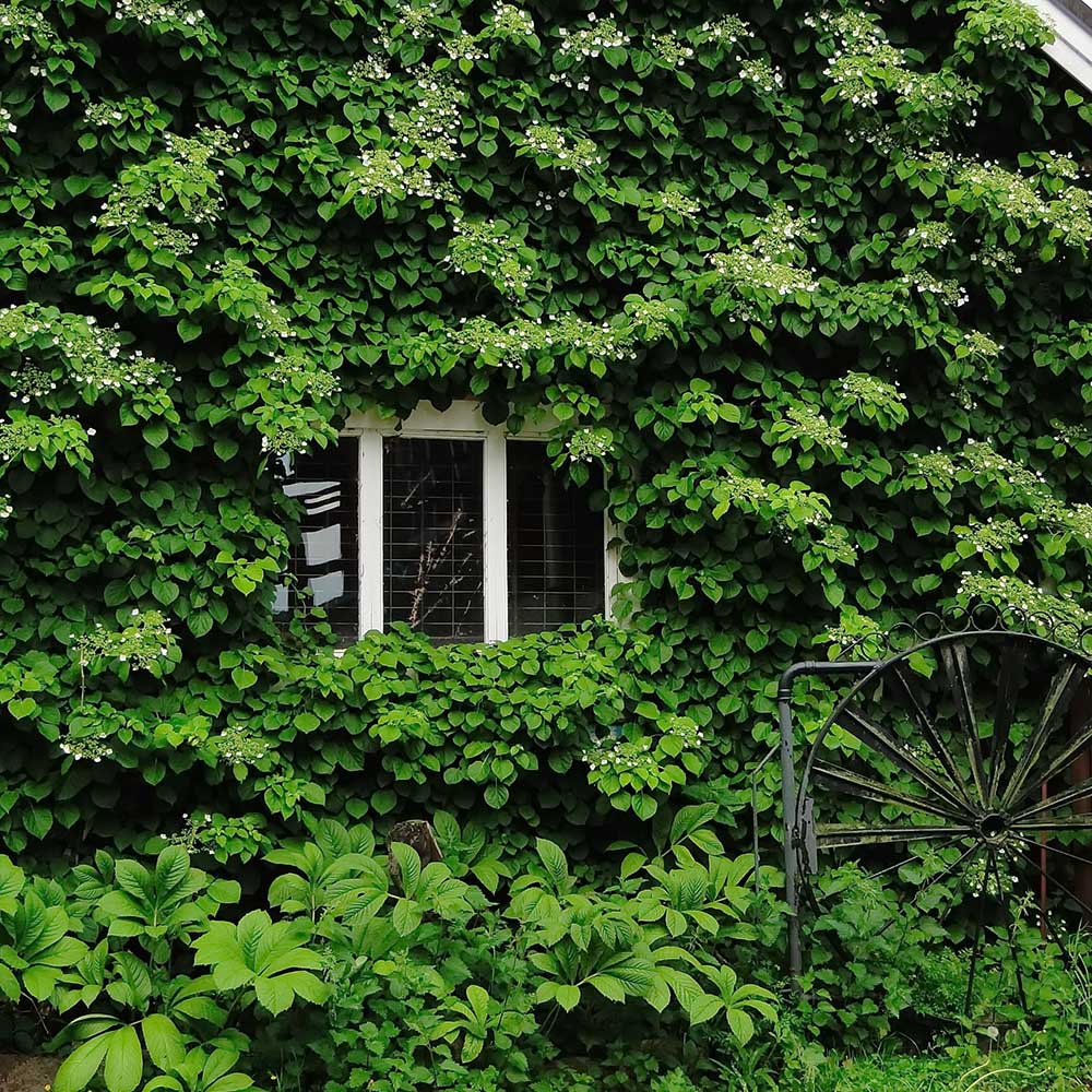 6ba5a1105b30aa7be79e656ddd2f9204