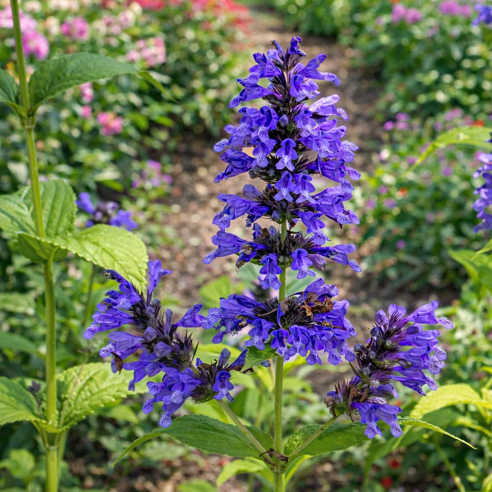 948cc933331d14a4610316189d4d052e