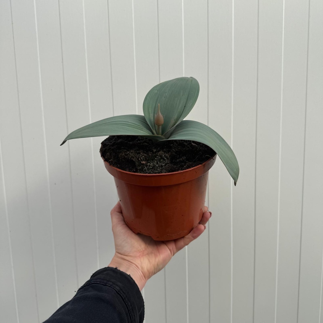 ab10ef79f1cbd23a62336e191e21a8ad