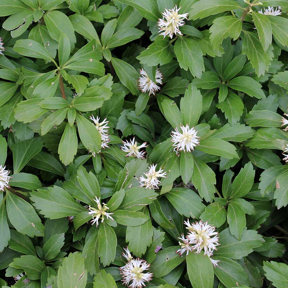 4d554609b6d9c0486afaaa097822d7aa