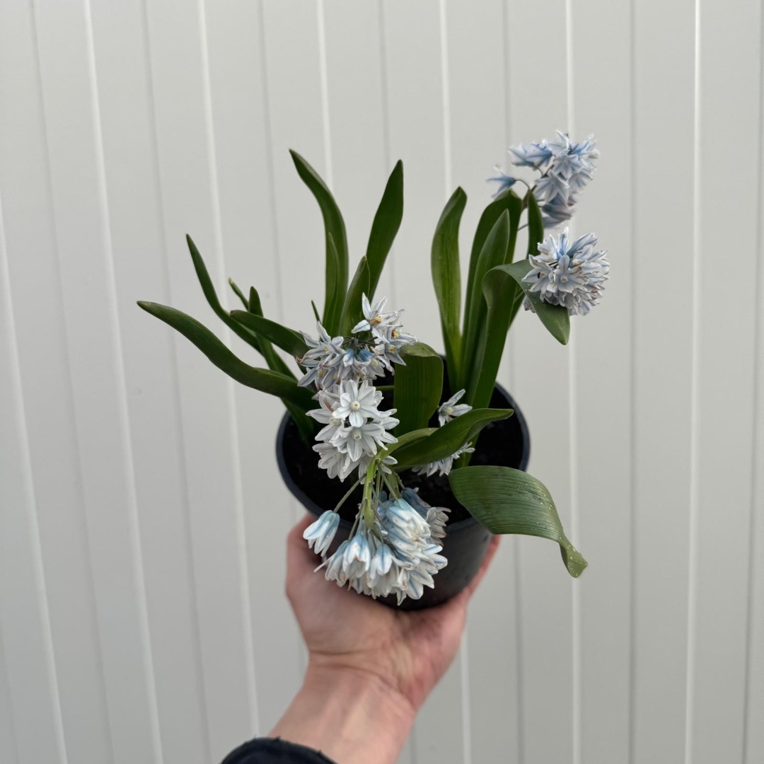 95344206eea065e225a763f0475a8240