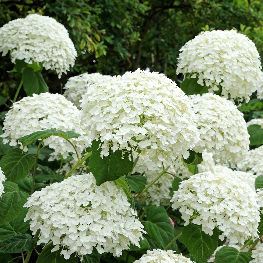 2a322fc7c9e3aa3b68f92edf60610c60