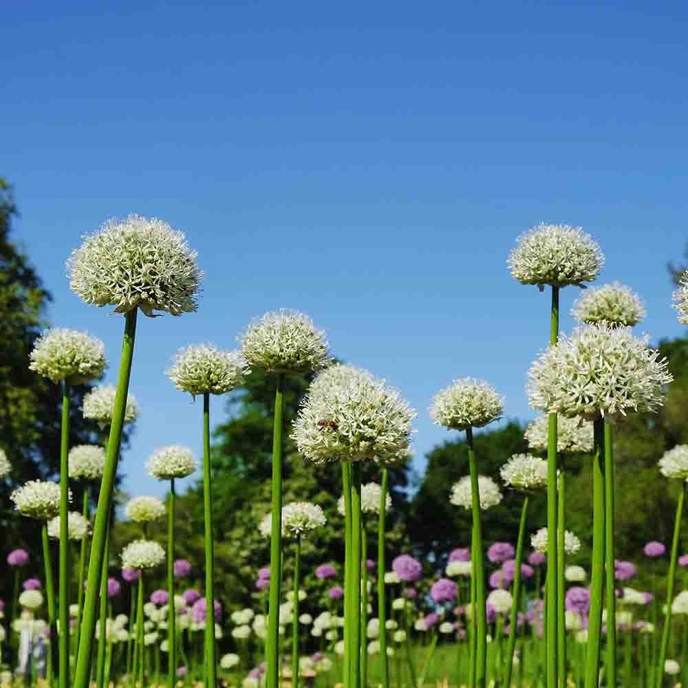 8b94ac6ed85b01be42b1b2a384b712ed