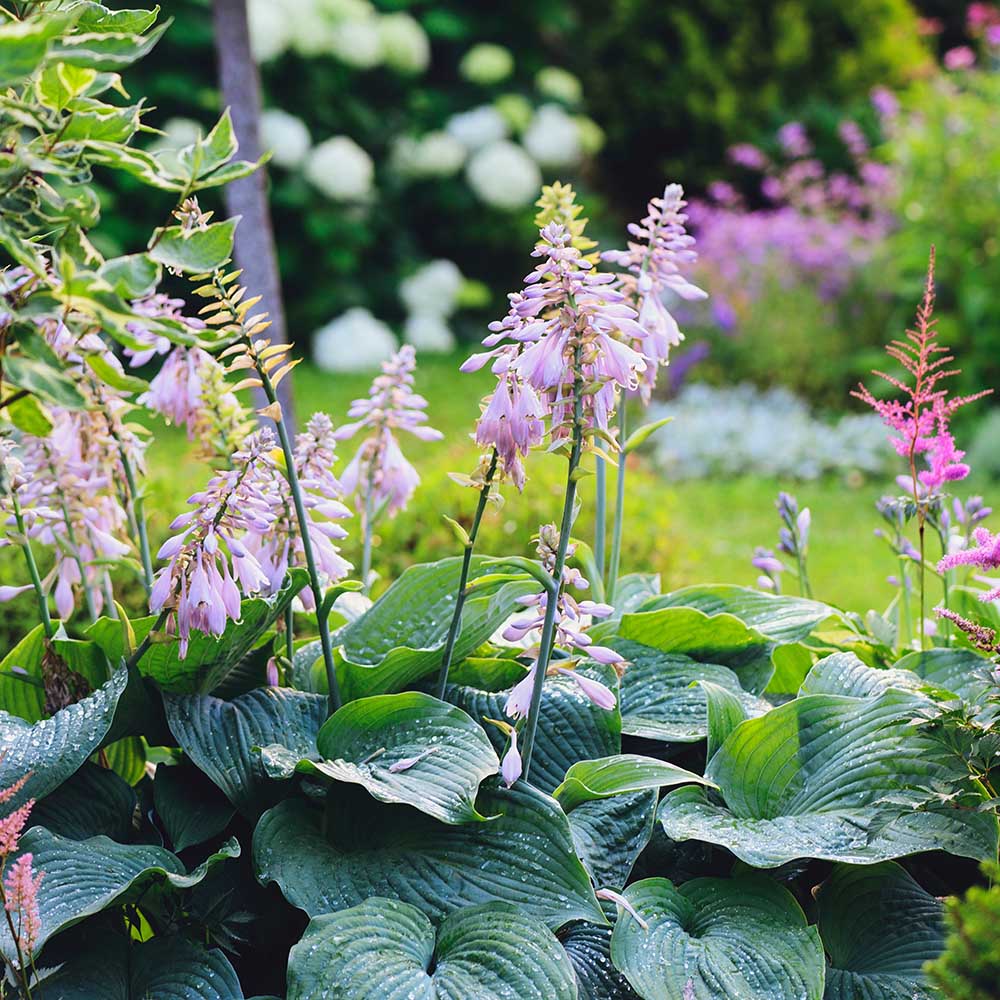 dfcdf31aaae3393fde264a5bb9f3c05b