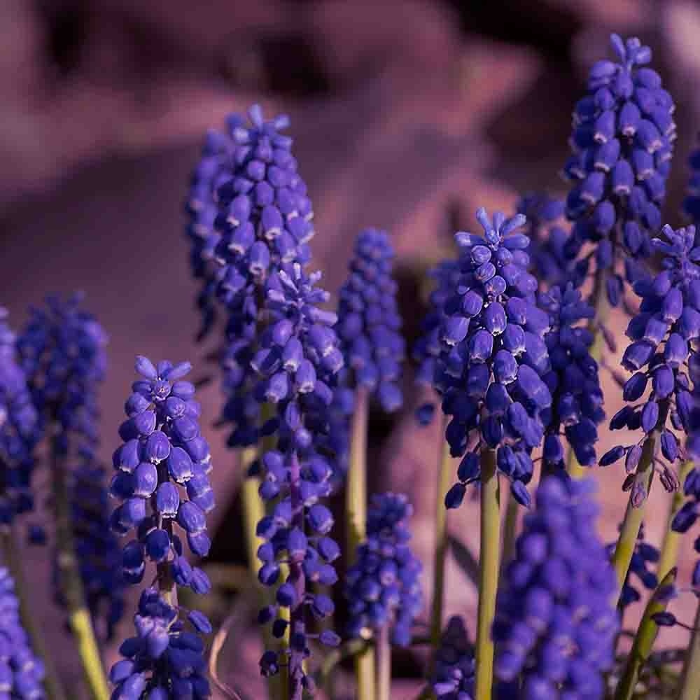 f31342bf7a00ca019fc7f97ec28b69db