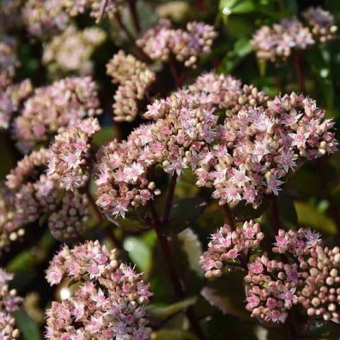 dd202addeff594be5b5a35375eb05757