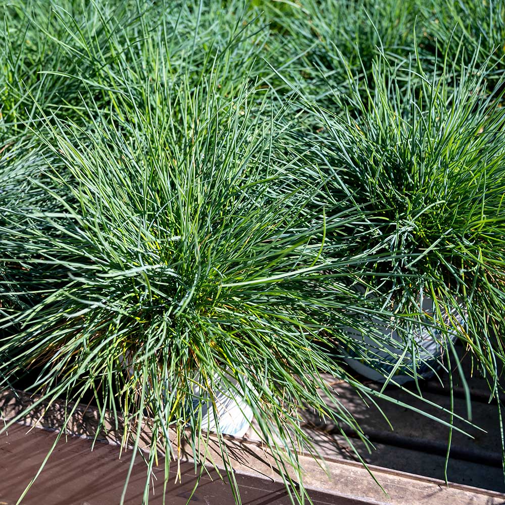 6e3b01db20e4ae14857929b3c0e37dee