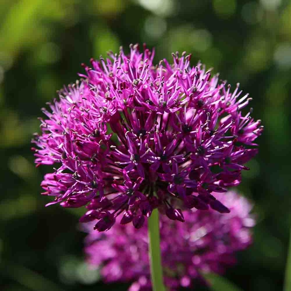 ae99b8638734ad3c6cb9d01e276a2fbe