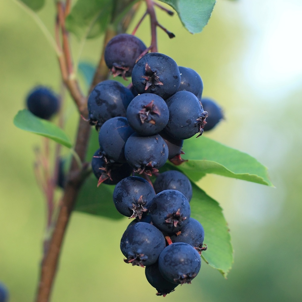 c046c1451706bd87eb62c034139446f8