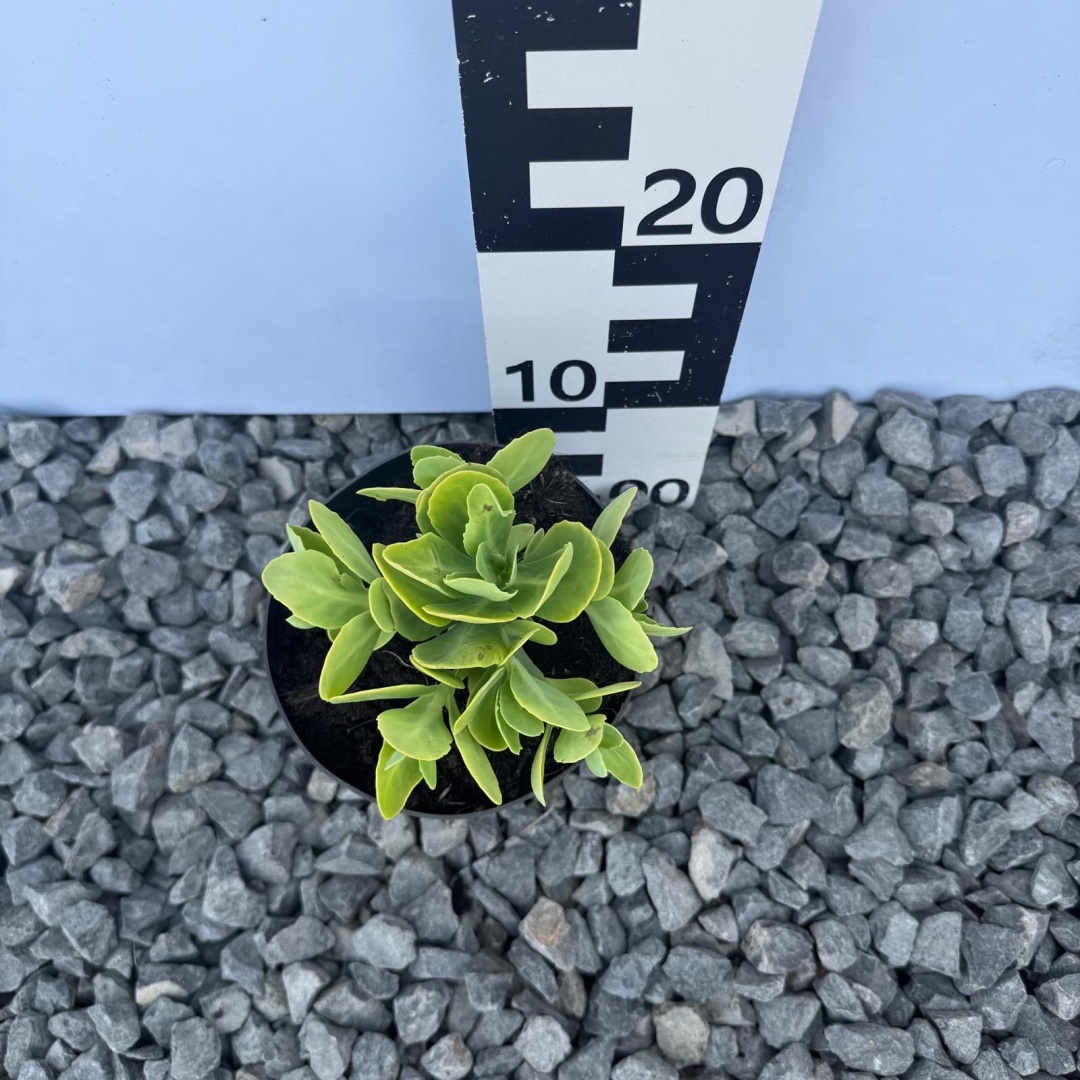 05ea587a252150af8e9e56c90648c3cd