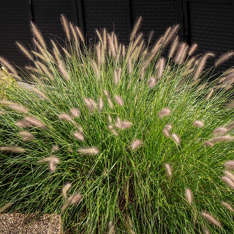 acd3c6a2df3e74dac4bb89abae9f47e0