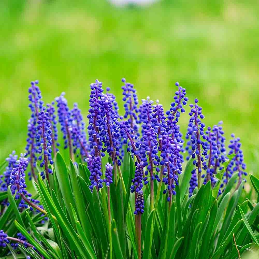 e4834843ffe5a24894fbb7b64b9e1da5