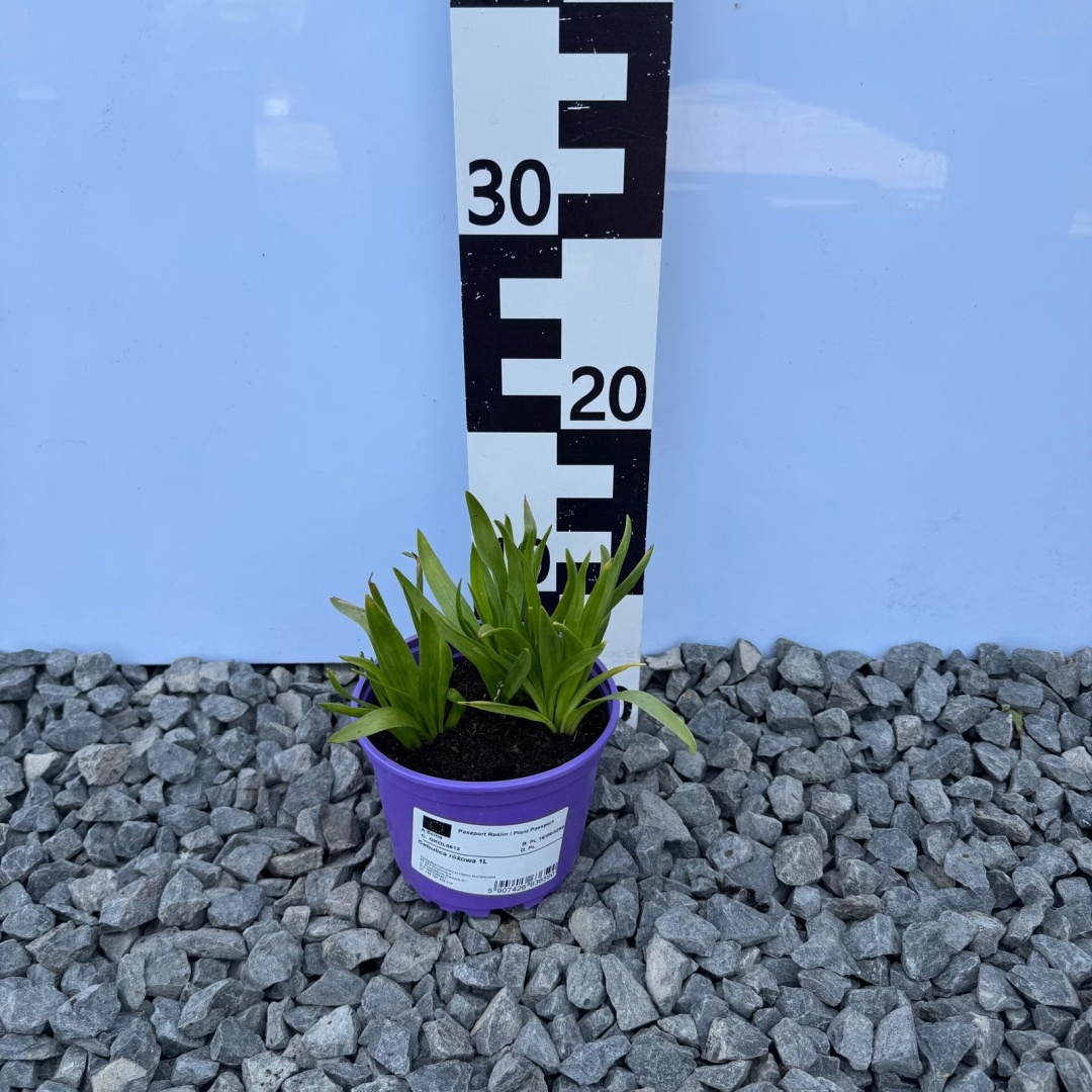 f8939a35a357eb72d96a834a4c7259fd