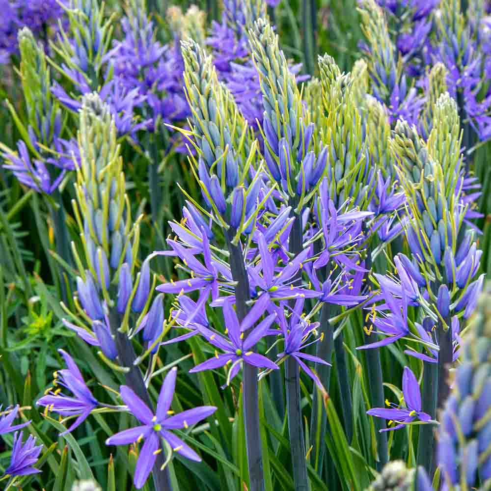 2a9fd5d56714577b21395d9de54d9746