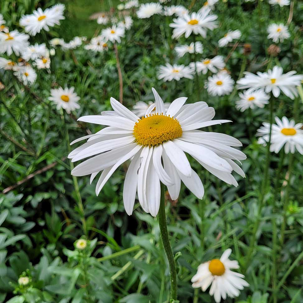 416d87139c262a2e95b854a2c5e32da8