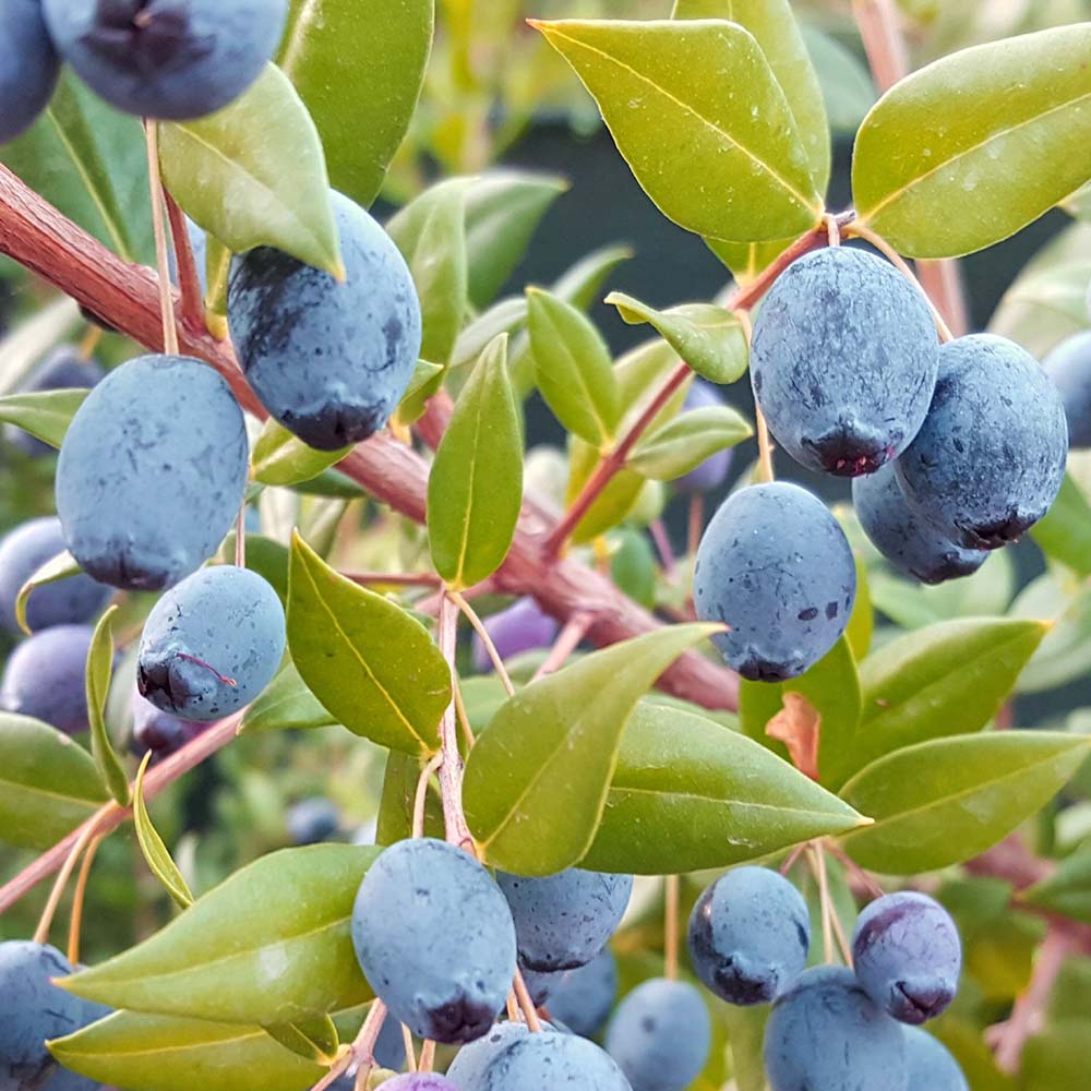 7b57f52337eb2fa5874c669d7f3e3a65