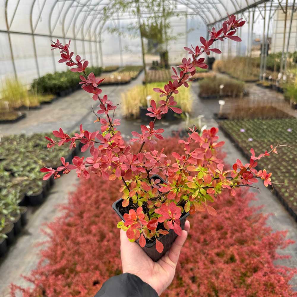 82c39150fee090971432083ba2e8be22