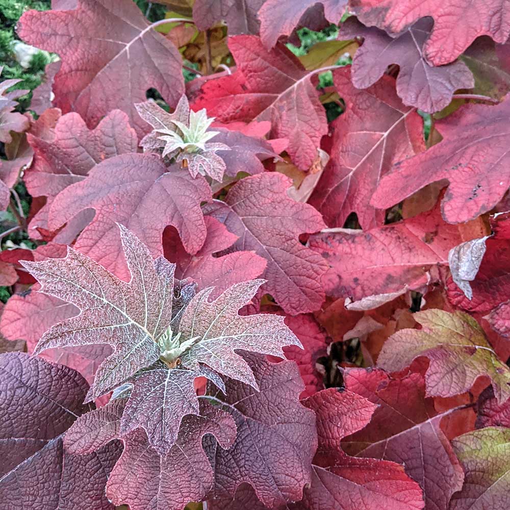 cfe2b3802b2e61e565b0dfcc530d0aef